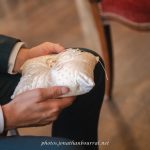 Alliances sur coussinet